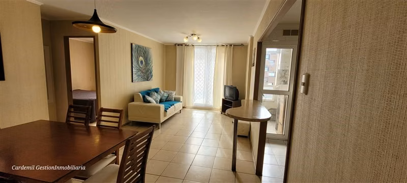 Arriendo Depto 3D Y 1B, Año Corrido, INACAP, La Serena