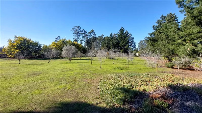 Parcela en venta en Algarrobo - Imagen 2