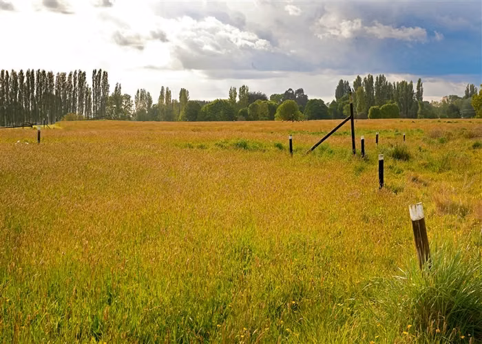 Venta Parcelas en Condominio Chacras de las Quemas, Osorno.