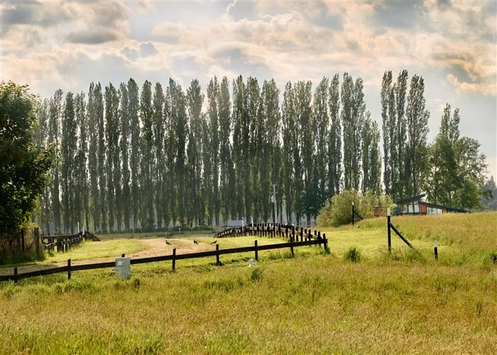 Venta Parcelas en Condominio Chacras de las Quemas, Osorno.