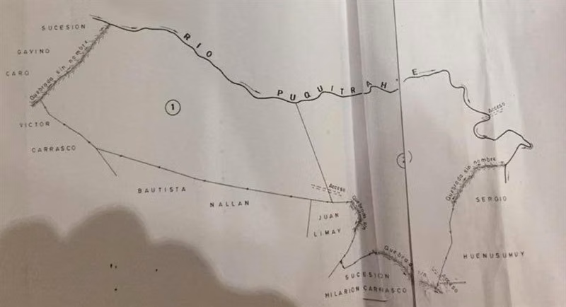 Venta Campo, 69 Ha totales, 40 Eucaliptus, Purranque.