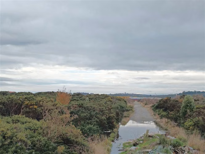 Parcela en Venta en Puerto Montt - Imagen 6