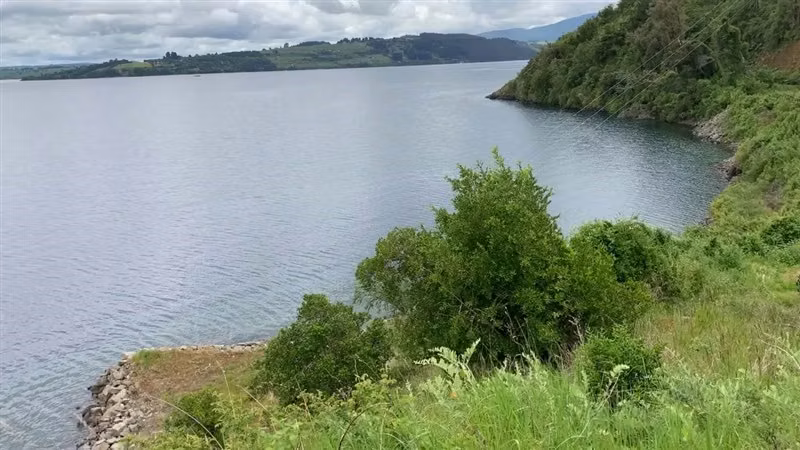 Parcelas exclusivas en Lago Ranco, venta privada con playa
