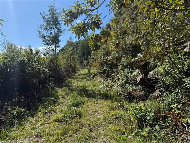 Parcelas exclusivas en Lago Ranco, venta privada con playa