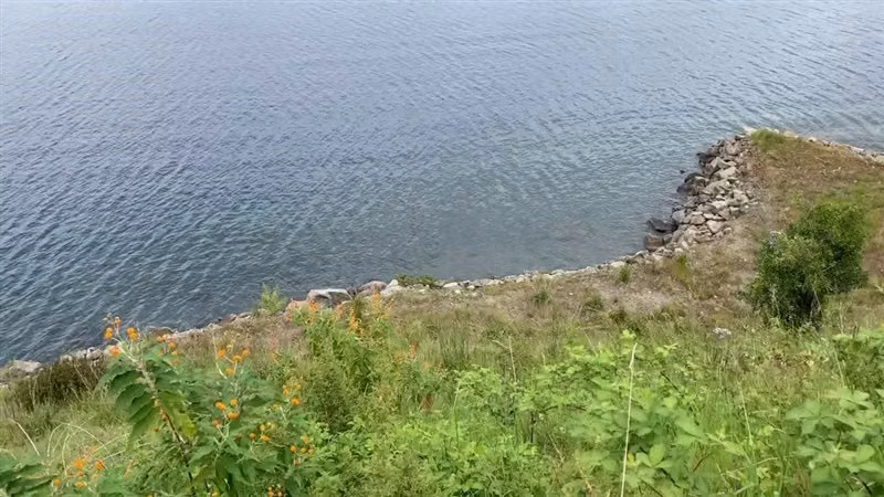 Parcelas exclusivas en Lago Ranco, venta privada con playa - Imagen 7