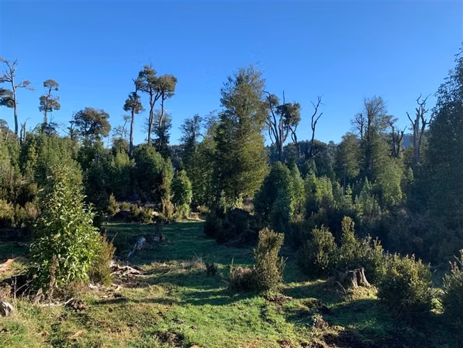 Parcela en venta en Puyehue