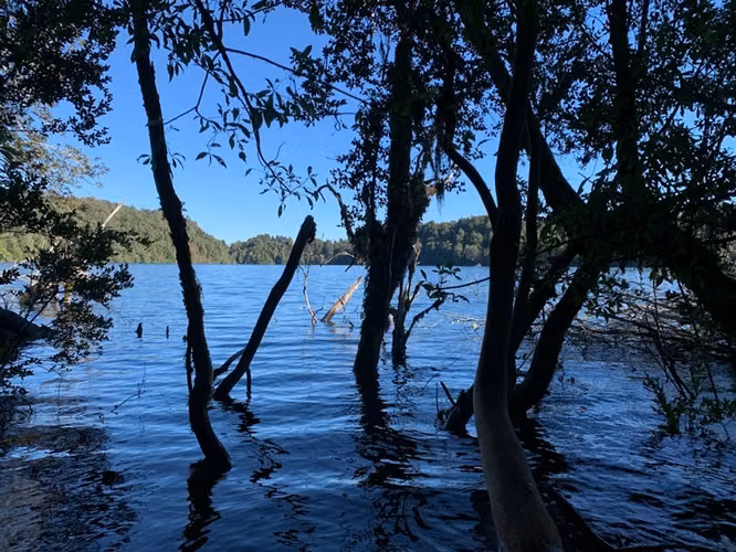 Parcela en venta en Puyehue