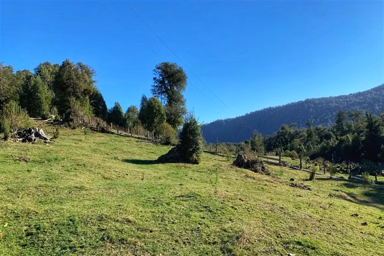 Parcela en venta en Puyehue