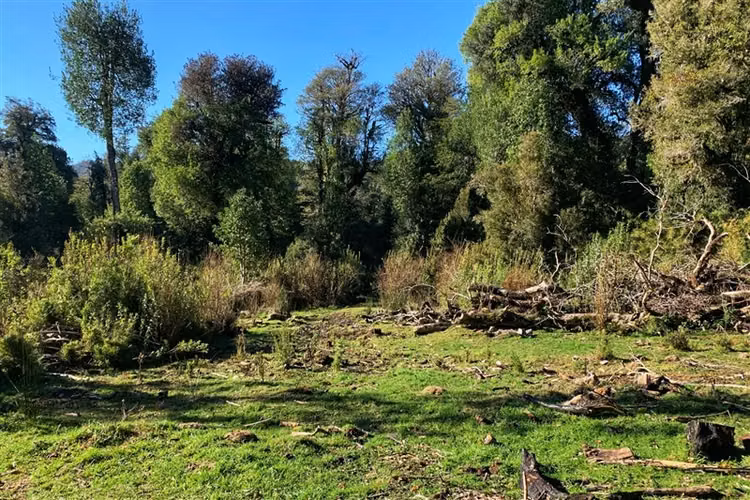 Parcela en venta en Puyehue