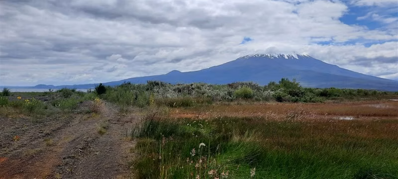 OPORTUNIDAD PARCELA A ORILLA DE LAGO VISTA AL VOLCÁN OSORNO