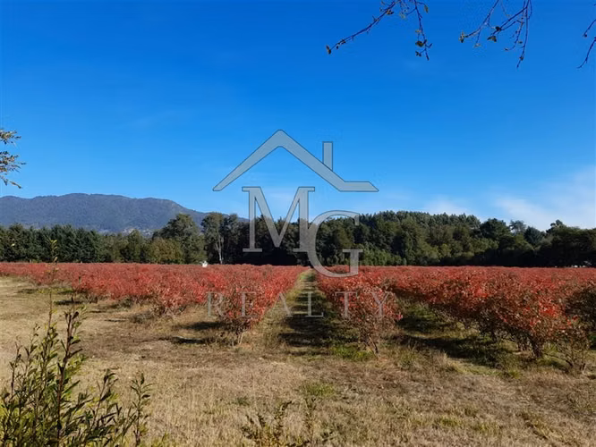 Agrícola en venta en Panguipulli