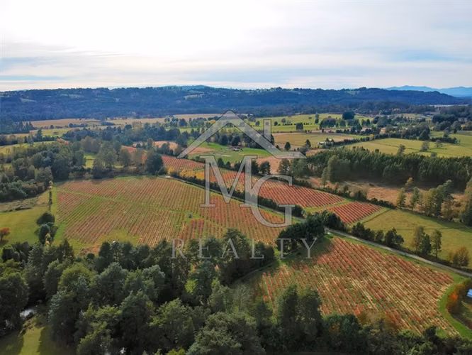 Parcela en venta en Panguipulli - Imagen 18