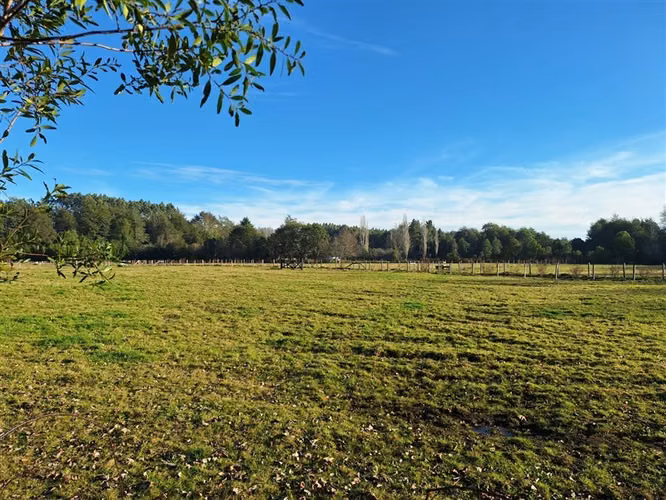 Parcela en venta en Panguipulli - Imagen 28