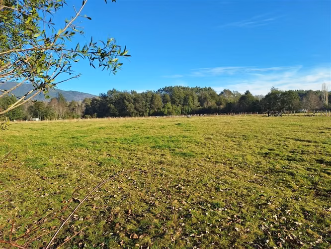 Parcela en venta en Panguipulli - Imagen 24