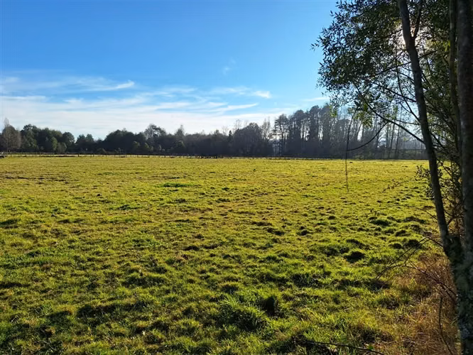 Parcela en venta en Panguipulli - Imagen 26
