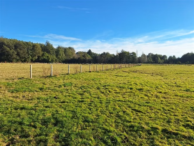 Parcela en venta en Panguipulli - Imagen 27