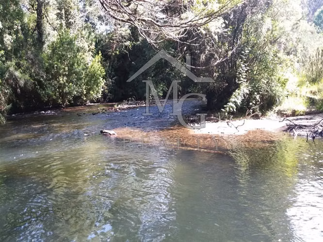 Parcela en venta en Panguipulli - Imagen 16
