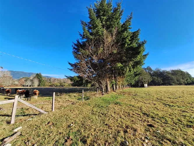 Parcela en venta en Panguipulli - Imagen 30