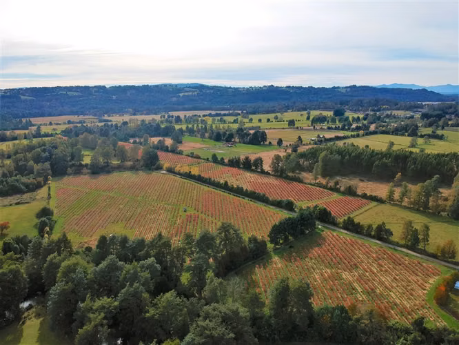 Parcela en venta en Panguipulli - Imagen 14