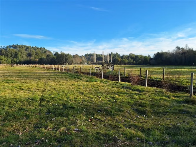 Parcela en venta en Panguipulli - Imagen 4