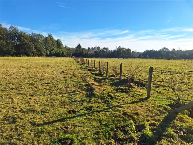 Parcela en venta en Panguipulli - Imagen 29