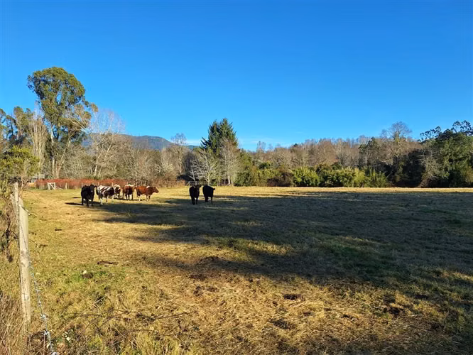 Parcela en venta en Panguipulli - Imagen 33