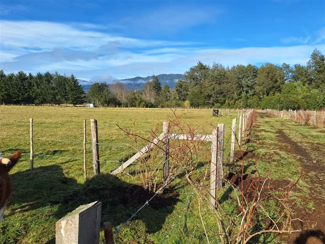 Parcela en venta en Panguipulli - Imagen 19