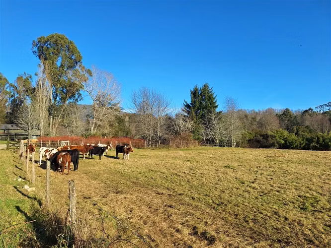 Parcela en venta en Panguipulli - Imagen 3