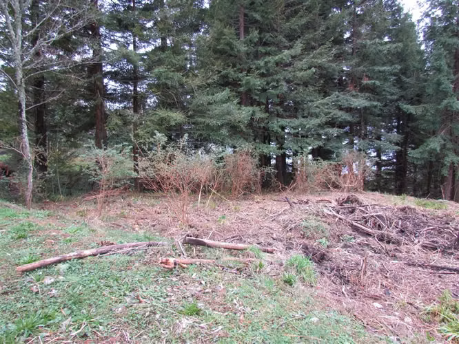 Sitio en venta en Chauquen Panguipulli - Imagen 21