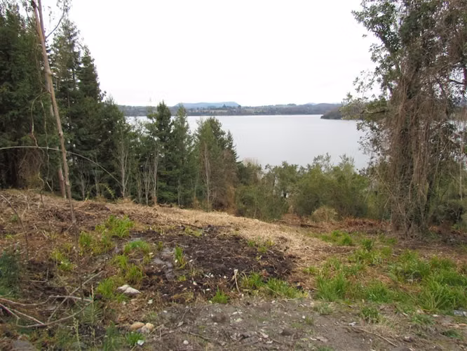 Sitio en venta en Chauquen Panguipulli - Imagen 14