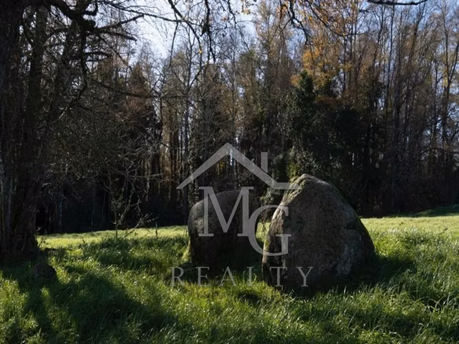 Sitio en venta en Panguipulli