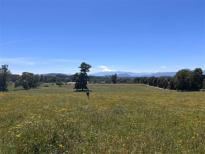 Sitio en venta en Panguipulli