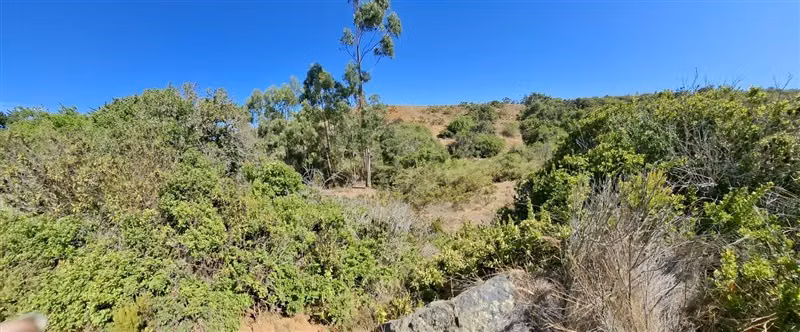 Terreno en venta sector El Yeco, Algarrobo