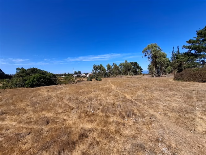 Terreno en venta sector El Yeco, Algarrobo