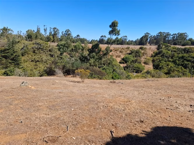 Terreno en venta sector El Yeco, Algarrobo