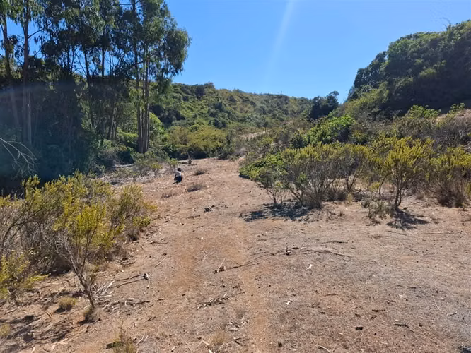 Terreno en venta sector El Yeco, Algarrobo