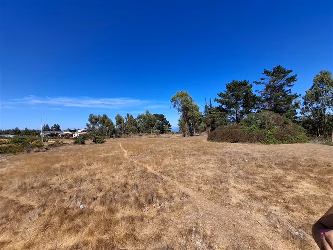 Terreno en venta sector El Yeco, Algarrobo