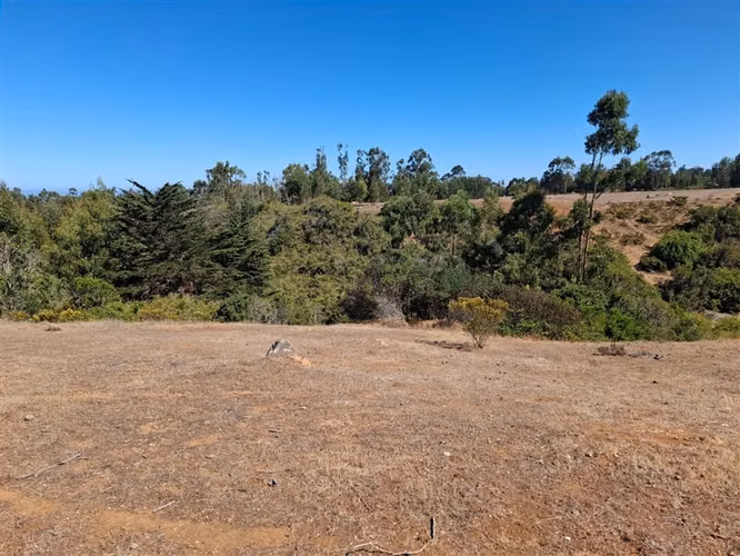 Terreno en venta sector El Yeco, Algarrobo