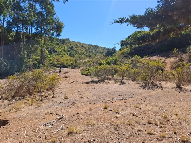 Terreno en venta sector El Yeco, Algarrobo