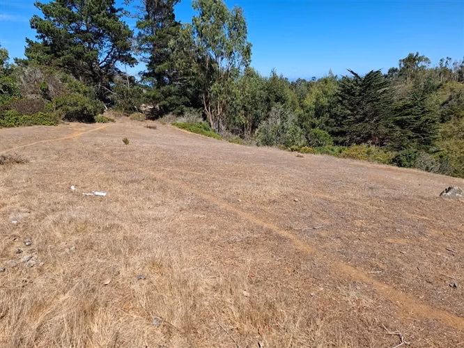 Terreno en venta sector El Yeco, Algarrobo