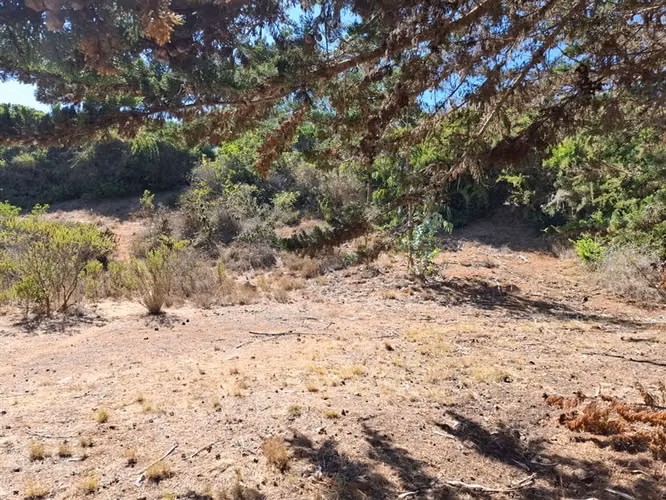 Terreno en venta sector El Yeco, Algarrobo