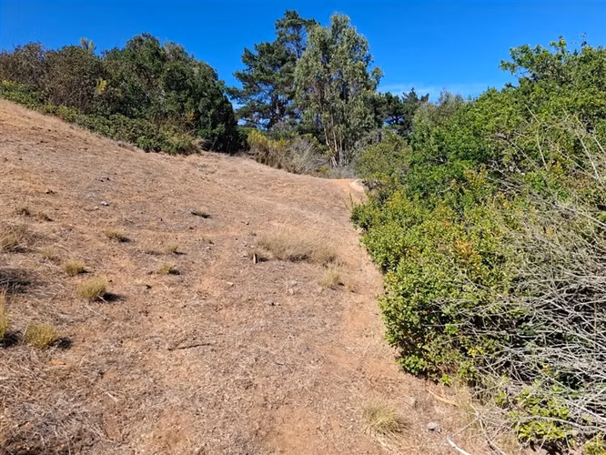 Terreno en venta sector El Yeco, Algarrobo