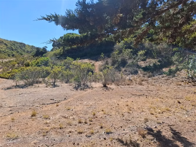 Terreno en venta sector El Yeco, Algarrobo