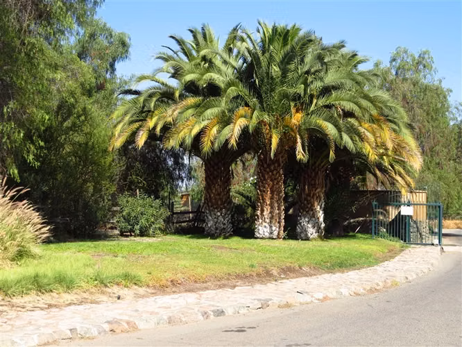 Parcela plana en venta Hacienda Chacabuco segunda etapa