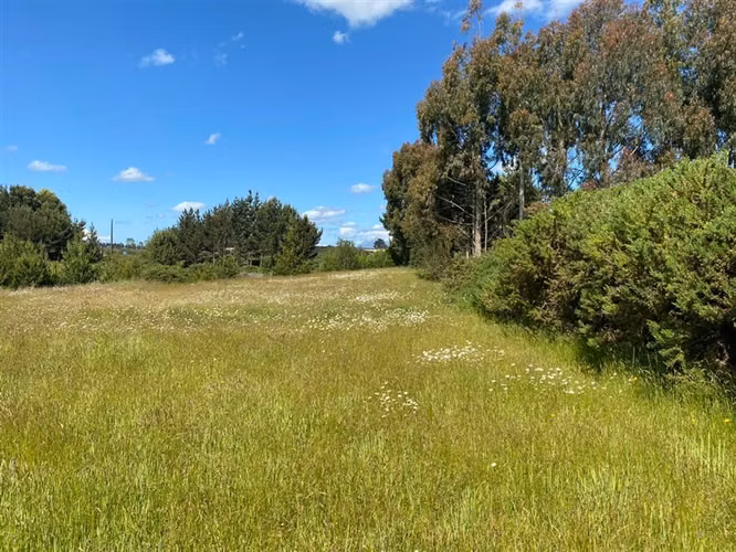 Terreno Construccion  en Venta en Puerto Varas - Imagen 3