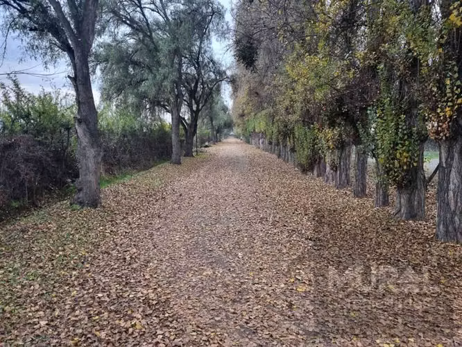 vendo solida casa, bajo tasacion, quincho, piscina,Talagante