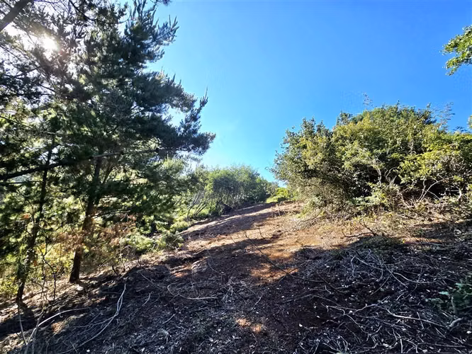 Sitio en Venta en Tomé