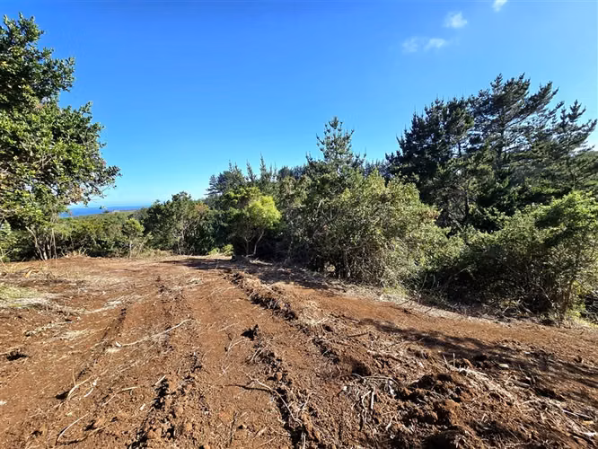 Sitio en Venta en Tomé
