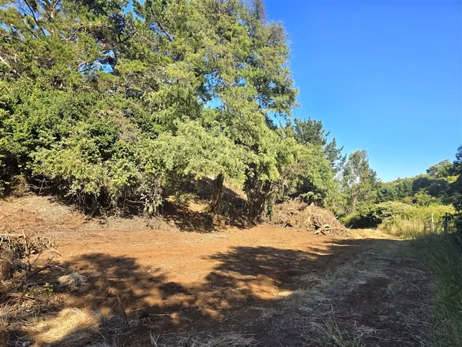 Sitio en Venta en Tomé