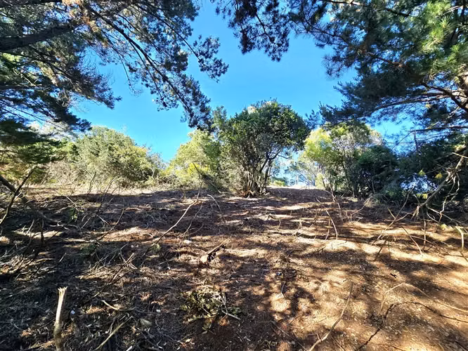 Sitio en Venta en Tomé